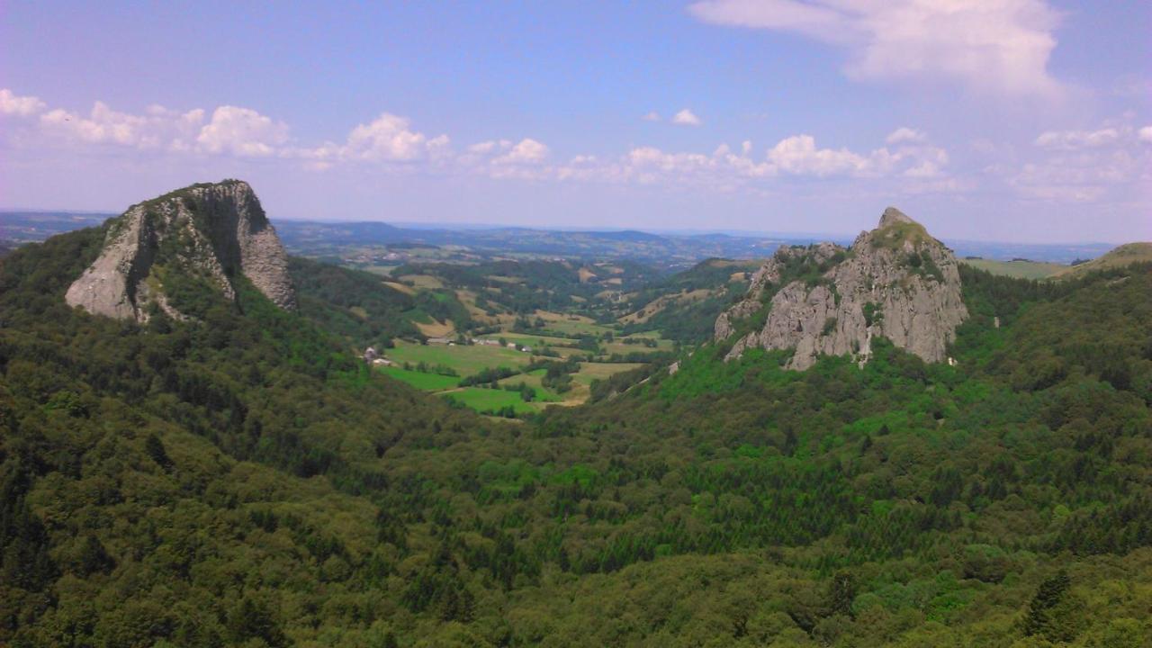 Tulipe, Appartement 5 Personnes, Entre Sancy Et Volcans D'Auvergne Orcival Dış mekan fotoğraf