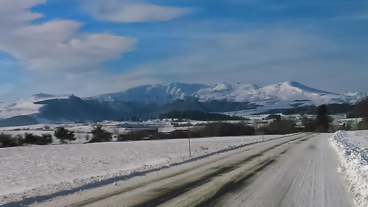 Tulipe, Appartement 5 Personnes, Entre Sancy Et Volcans D'Auvergne Orcival Dış mekan fotoğraf