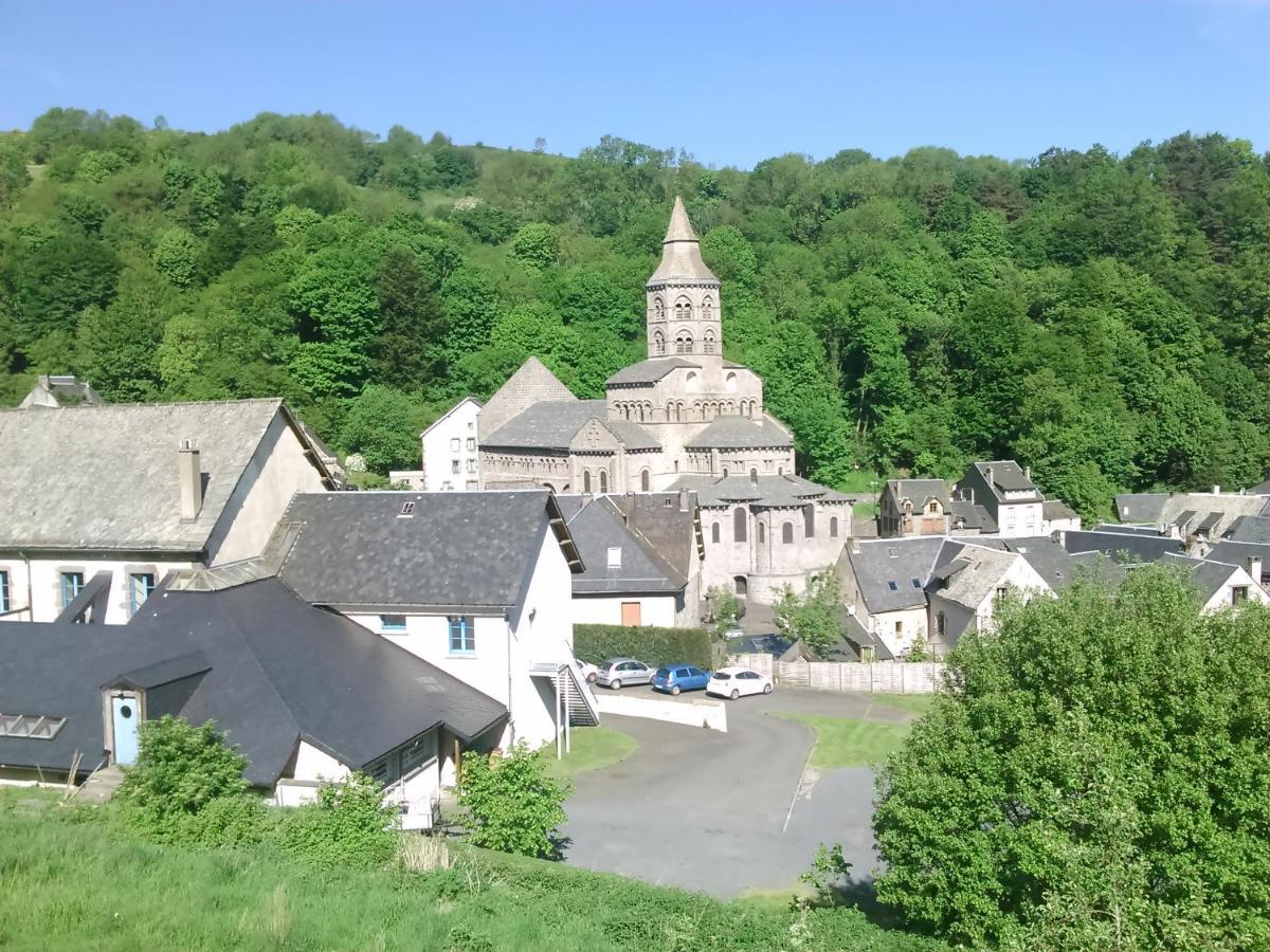 Tulipe, Appartement 5 Personnes, Entre Sancy Et Volcans D'Auvergne Orcival Dış mekan fotoğraf
