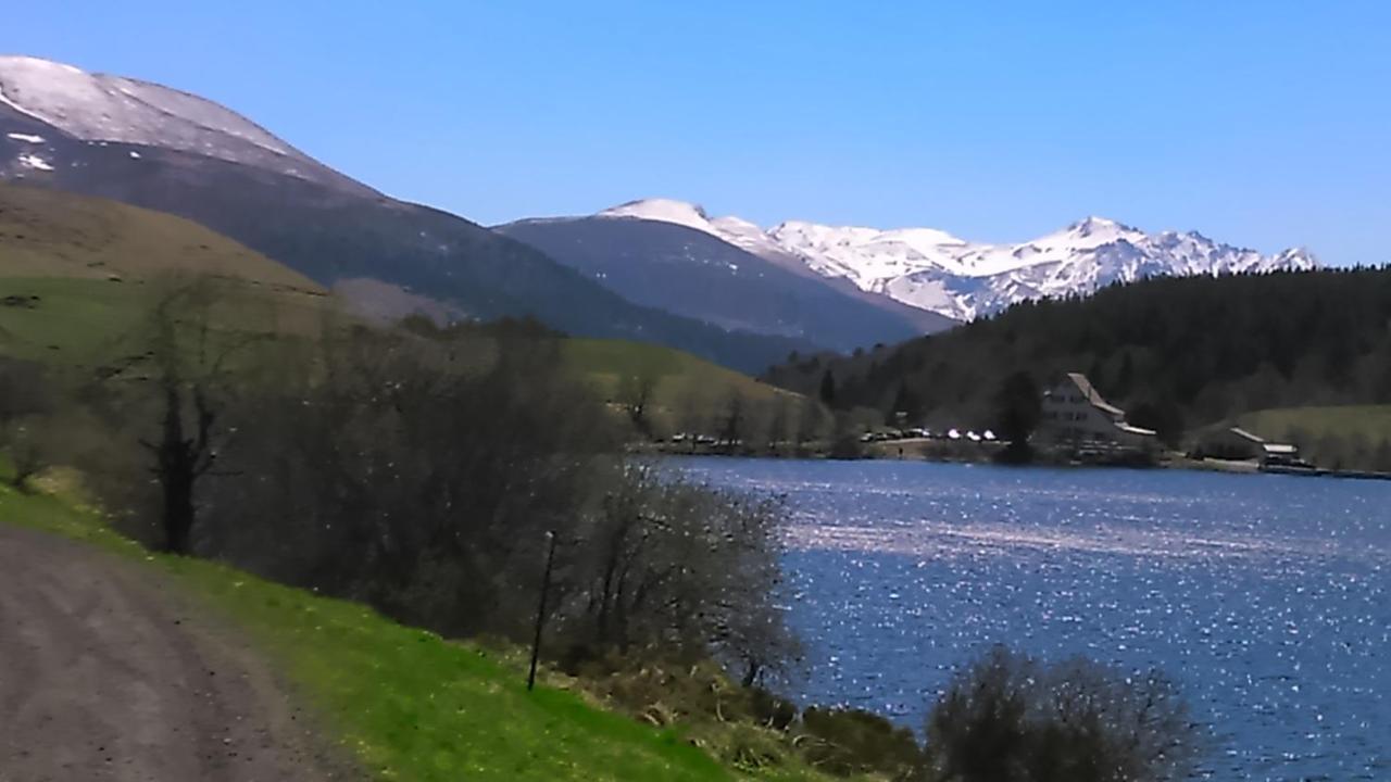 Tulipe, Appartement 5 Personnes, Entre Sancy Et Volcans D'Auvergne Orcival Dış mekan fotoğraf