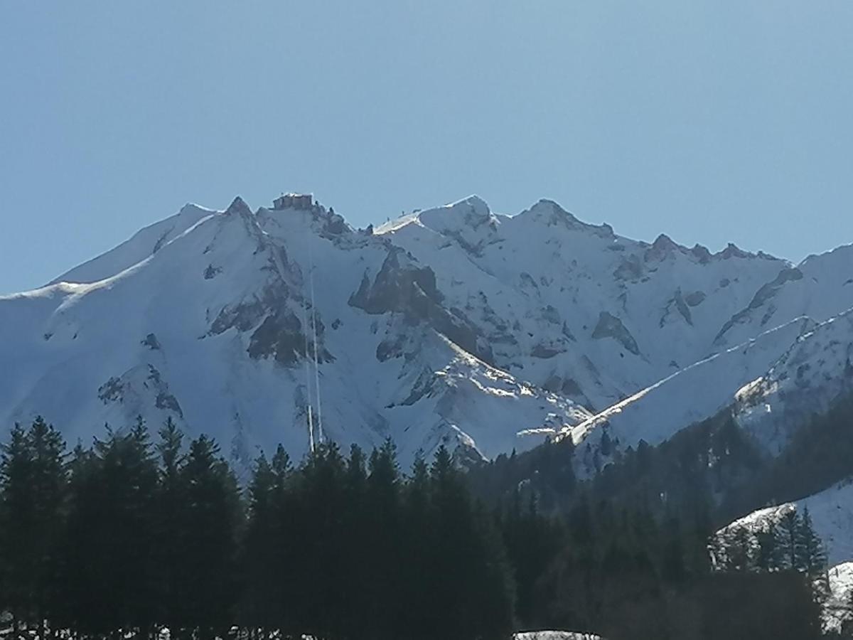 Tulipe, Appartement 5 Personnes, Entre Sancy Et Volcans D'Auvergne Orcival Dış mekan fotoğraf