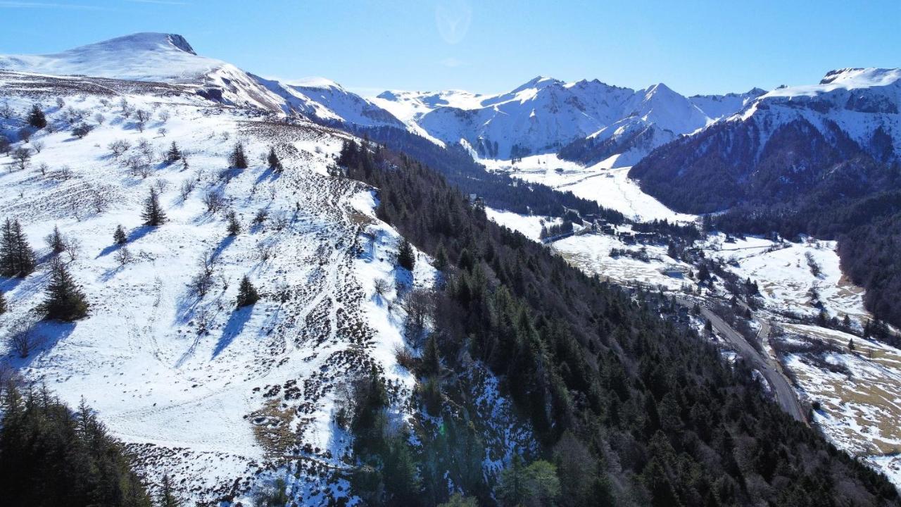 Tulipe, Appartement 5 Personnes, Entre Sancy Et Volcans D'Auvergne Orcival Dış mekan fotoğraf