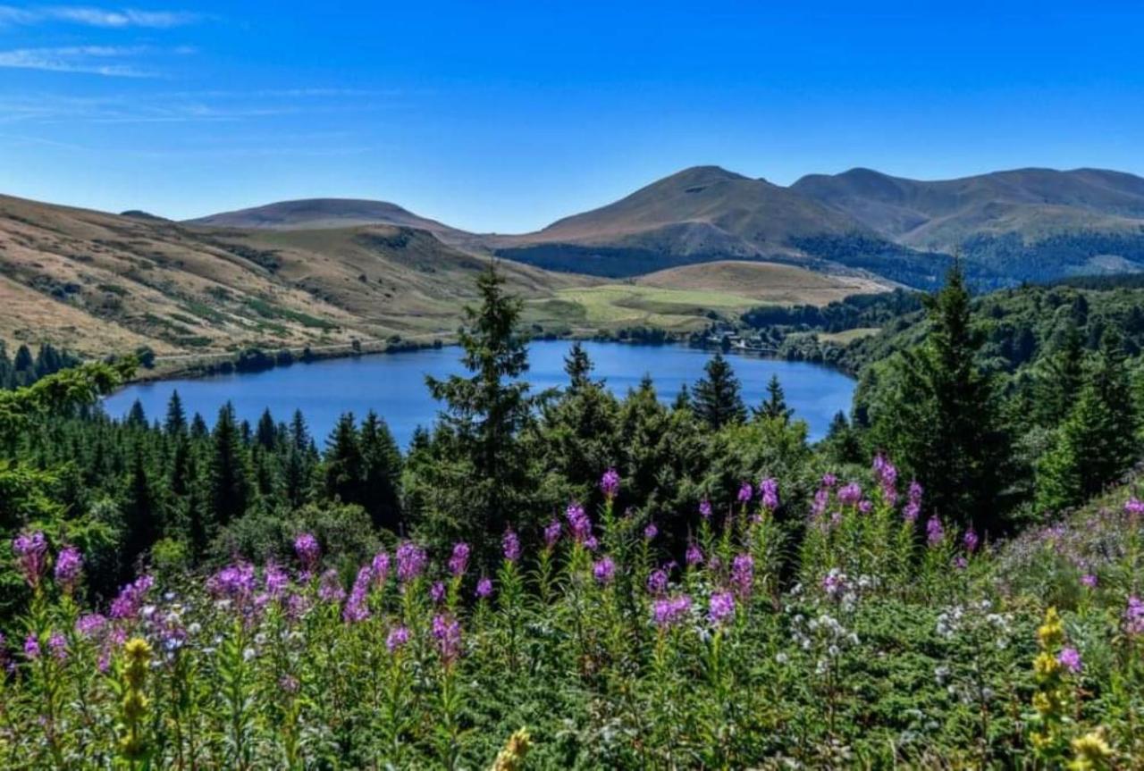 Tulipe, Appartement 5 Personnes, Entre Sancy Et Volcans D'Auvergne Orcival Dış mekan fotoğraf
